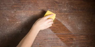 The Ultimate Guide to Dust-Free Furniture and Decor: Hidden Hotspots & Tips