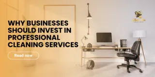 Why Businesses Should Invest in Professional Cleaning Services