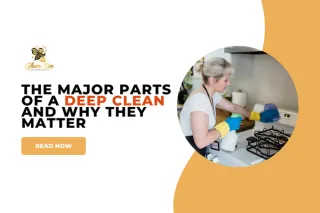 The Major Parts of a Deep Clean and Why They Matter
