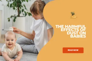 The Harmful Effects of Dust on Babies