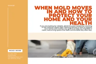 When Mold Moves In and How to Protect Your Home and Your Health