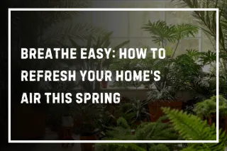 Breathe Easy: How to Refresh Your Home’s Air This Spring