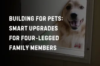 Building for Pets: Smart Upgrades for Four-Legged Family Members


