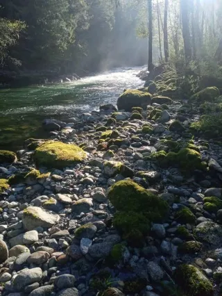 What’s Happening at Cascade River Community Club: Memorial, Potluck, and Board Meeting