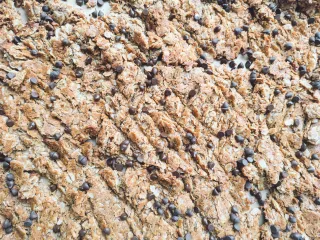 Cookie Crumble Granola
