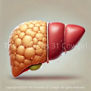 🍃 Understanding Non-Alcoholic Fatty Liver Disease (NAFLD): Causes and Holistic Support