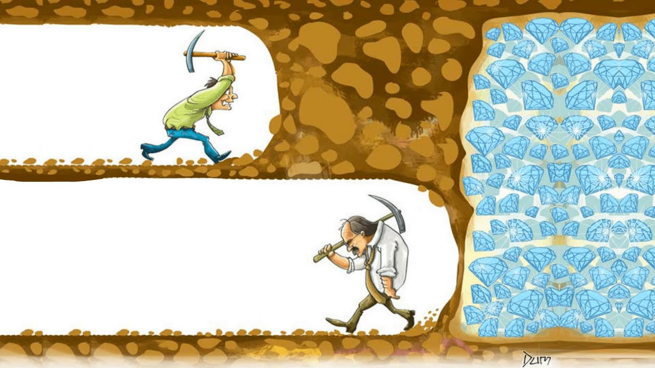 The Weekly SynQ - Nov 23 - 29