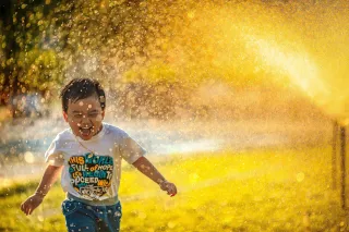 Lawn Sprinkler System Cost Guide for Homeowners