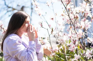 How Chiropractic Care Can Help with Seasonal Allergies in Pleasant Grove
