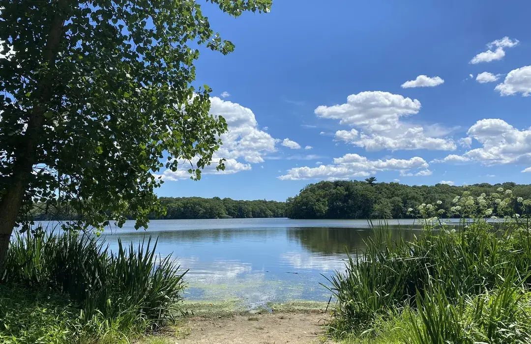 🌲 Blydenburgh County Park: Smithtown’s Hidden Gem for Nature Lovers & Chill Seekers