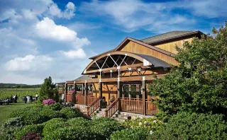 🍷Sip Happens at Macari Vineyards—Long Island Wine Done Right