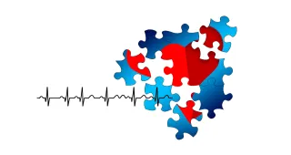 Resting Heart Rate Longevity Signal