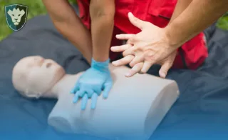 First Aid, CPR, and AED Training: Why Every Workplace Needs It