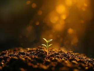 Cultivating Compassion