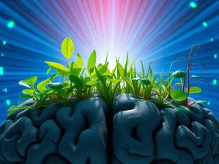 Gratitude Mulch - Fertilizing your Mindset