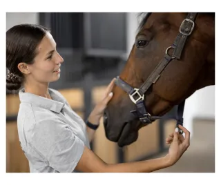 Your Body Language and the Impact on Your Horse