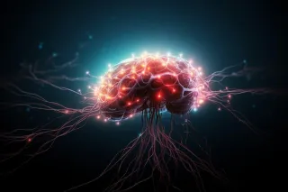 Meditation Changes Your Brain