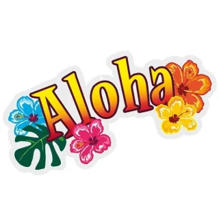 Unveiling the Deeper Meaning of Aloha