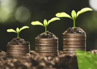 The Truth About What Is Indexed Universal Life Insurance (IUL)?