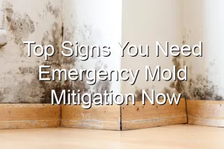 Top Signs You Need Emergency Mold Mitigation Now