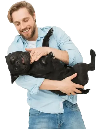 Bark Buster: Train Away Bad Behavior Quickly and Easily