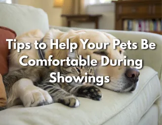 Tips to Help Your Pets Be Comfortable During Showings
