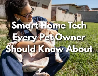 Smart Home Tech Every Pet Owner Should Know About