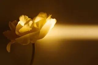 Hope in Times of Darkness