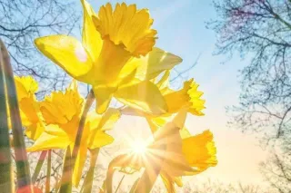 Creating Life Anew in the Midst of Chaos
