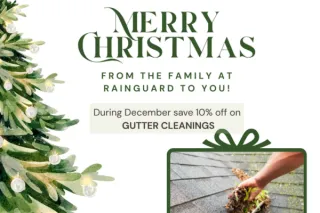 Gutter Cleaning