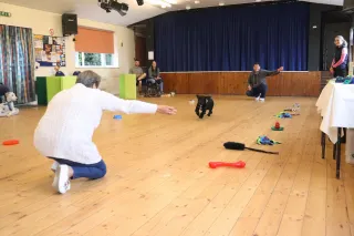 From Puppy Pandemonium To Perfect Pooches: Why My Complex Canine’s Puppy Classes Are A Must-Have