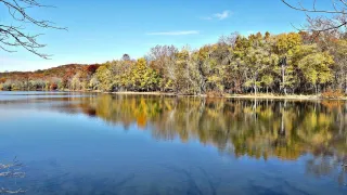 🌲Nature Breaks & Hustle Hacks: Why Radnor Lake Is the Reset Gig Workers Didn’t Know They Needed