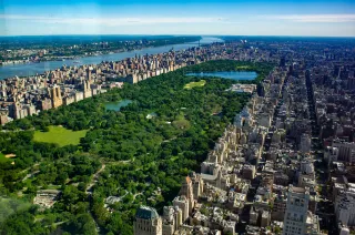 🌳 Central Park: NYC’s Backyard Playground That’s Got a Little Something for Everybody