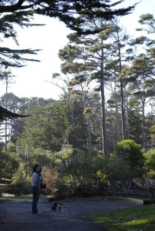 Garden By The Sea - Mendocino County, CA