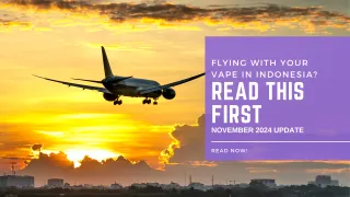 FLYING WITH YOUR VAPE IN INDONESIA? READ THIS FIRST (NOVEMBER 2024 UPDATE)