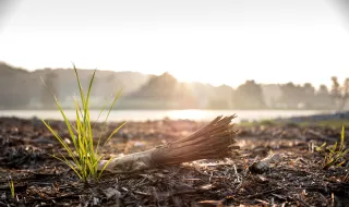 Top Hiking Spots in Middle Tennessee to Jumpstart Your January Fitness Goals