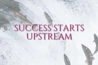 Upstream Wins: What Salmon, Standards & Strategy Teach Us About True Success