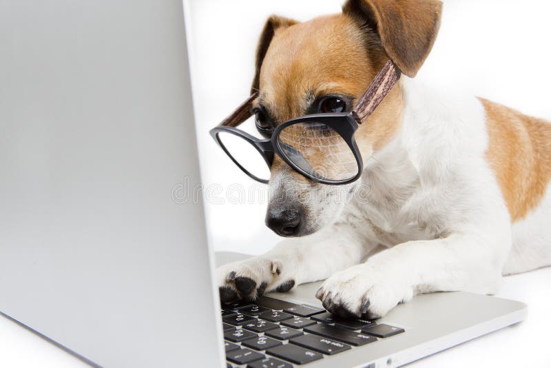 Build Your Vet Clinic's Brand with a Blog to Attract & Retain Clients