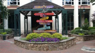 🍃Discover The Green: Charlotte’s Quirky Urban Oasis in the Heart of Uptown


