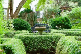 🐦 From Garden Paths to Birdbaths: Explore Wing Haven’s Wild Beauty


