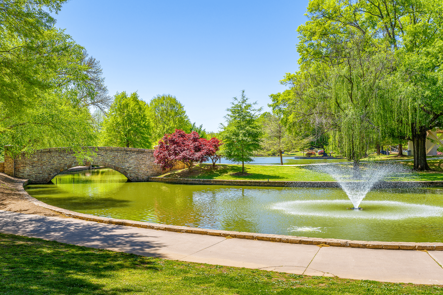 🌳 A Day of Pure Joy at Freedom Park – Charlotte, NC