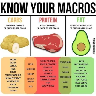 Demystifying Macronutrients: Understanding Carbs, Proteins, and Fats in Your Diet