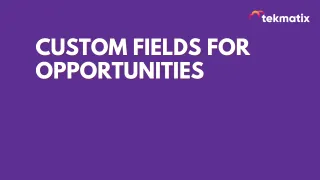 Custom Fields for Opportunities