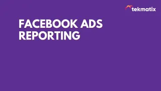 Facebook Ads Reporting