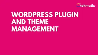 WordPress Plugin and Theme Management