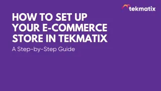 How to Set Up Your E-commerce Store in Tekmatix: Step-by-Step Guide