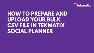 How To Prepare and Upload Your Bulk CSV File in Tekmatix Social Planner