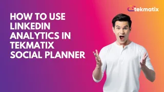 How To Use LinkedIn Analytics in Tekmatix Social Planner