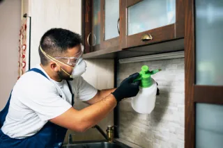 Top 10 Pest-Proofing Tips Every Homeowner Should Know This Spring