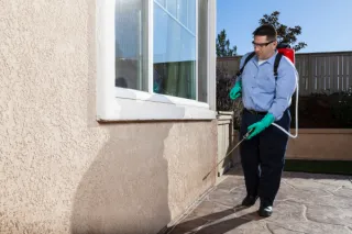 Spring Pests Are Back—and They’re Bringing Trouble: What Every Homeowner Needs to Know